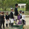 Babie Lato 2016